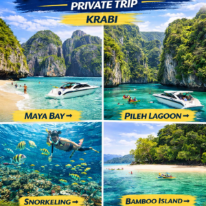 ทริป 1 วัน เที่ยว หมู่เกาะพีพี • อ่าวมาหยา • ปิเละลากูน • เกาะไผ่(Private Trip)ไม่เกิน 10 คน / ลำ