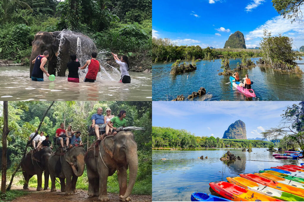 โปรแกรมกิจกรรมชมช้าง • ขี่ช้าง • ให้อาหารช้าง & พายเรือคายัค