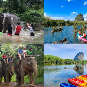 โปรแกรมกิจกรรมชมช้าง • ขี่ช้าง • ให้อาหารช้าง & พายเรือคายัค