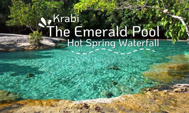 💚 สระมรกต กระบี่ (Emerald Pool)